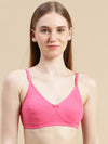 Normal Colour Brazier Plus Size KB06 (2Pcs Pack)